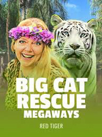 Big Cat Rescue Megaways Terbaru: Review Game dan Link Main — ikon game